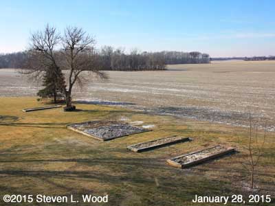 Our Senior Garden - January 28, 2015