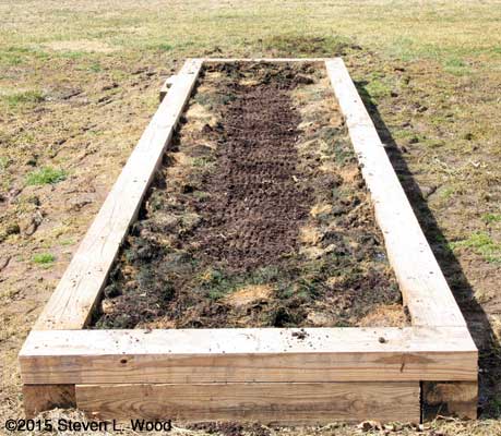 Row firmed, edges mulched
