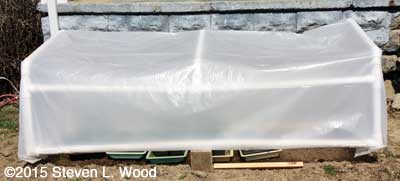 Cold frame propped slightly open