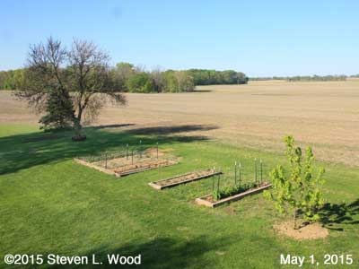 Our Senior Garden - May 1, 2015
