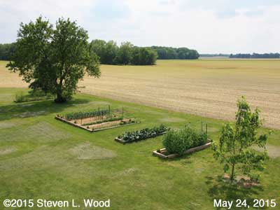 Our Senior Garden - May 24, 2015