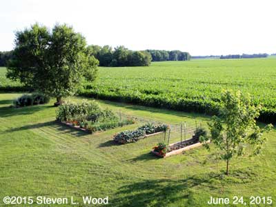 Our Senior Garden - June 24, 2015