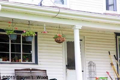 Hanging baskets and hummingbird feeder under back porch roof