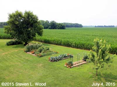 Our Senior Garden - July 4, 2015