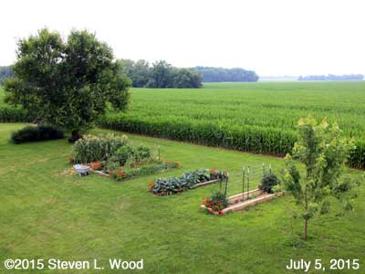 Our Senior Garden - July 5, 2015