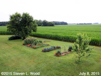 Our Senior Garden - July 8, 2015