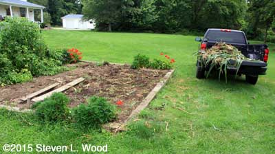 Plot cleared and raked