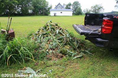 Current working compost pile