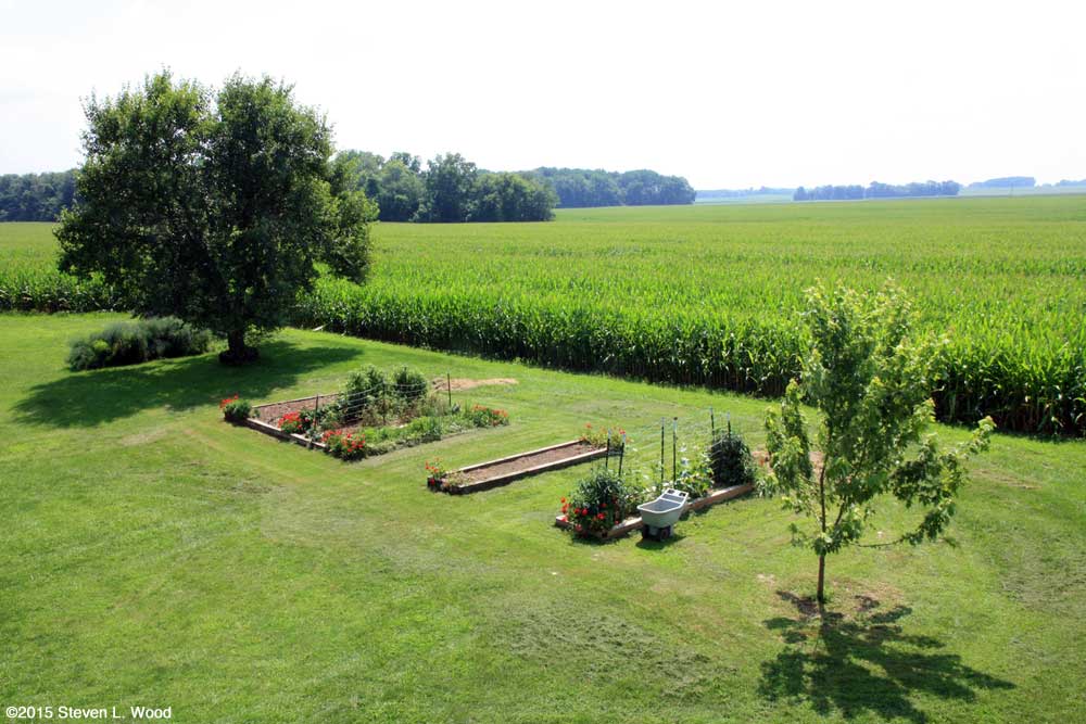 Our Senior Garden - July 16, 2015