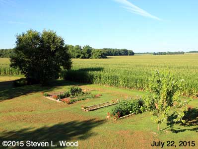 Our Senior Garden - July 22, 2015