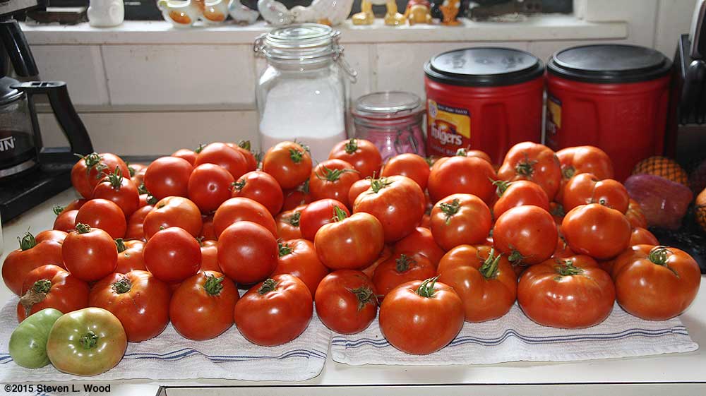 Earlirouge Tomatoes