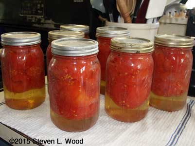 Seven quarts of whole tomatoes canned