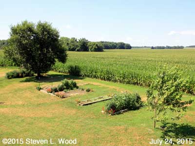 Our Senior Garden - July 24, 2015