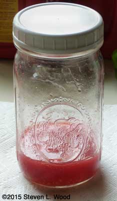 Tomato seed fermenting