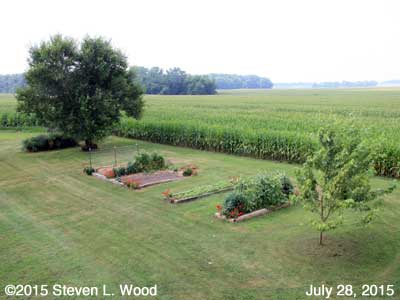 Our Senior Garden - July 28, 2015
