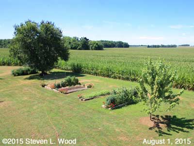 Our Senior Garden - August 1, 2015