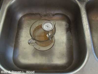 Hot water treating tomato seed