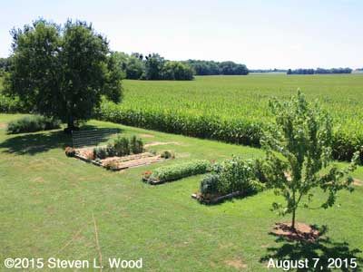 Our Senior Garden - August 7, 2015