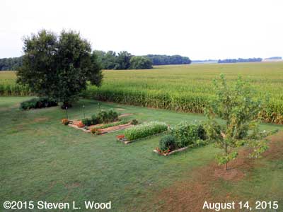 Our Senior Garden - August 14, 2015