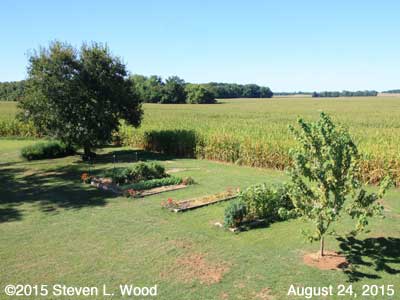 Our Senior Garden - August 24, 2015