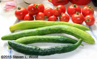 JLP Cucumbers and various tomatoes