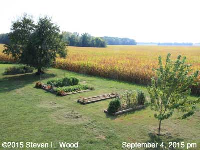 Our Senior Garden in the afternoon - September 4, 2015