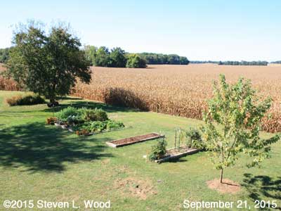Our Senior Garden - September 21, 2015