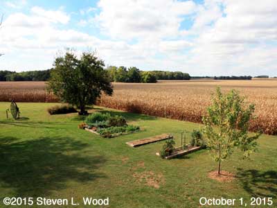Our Senior Garden - October 1, 2015