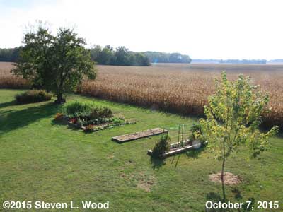 Our Senior Garden - October 7, 2015