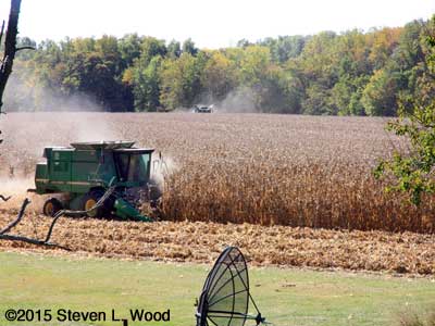Two combines picking the field adjacent to our Senior Garden