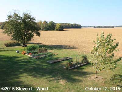 Our Senior Garden - October 12, 2015