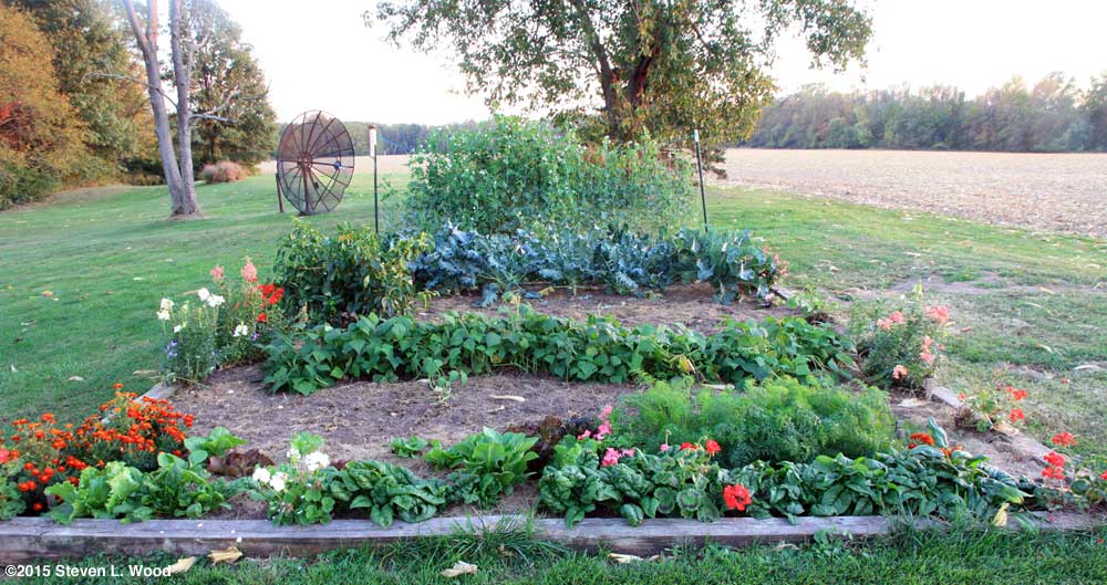 Main raised bed