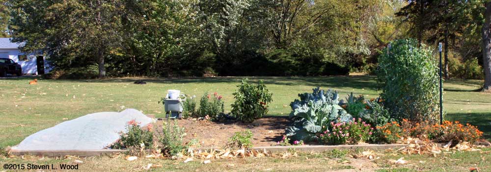 Main raised bed viewed from west