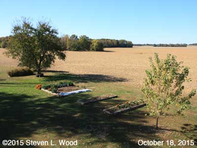 Our Senior Garden - October 18, 2015