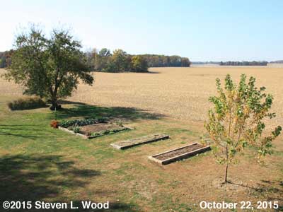 Our Senior Garden - October 22, 2015