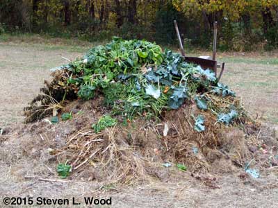 Compost pile