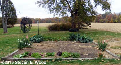 Main raised garden bed - October 24, 2015