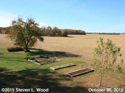 Our Senior Garden - October 26, 2015