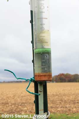 Rain Gauge