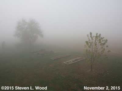 Senior Garden in heavy fog - November 2, 2015