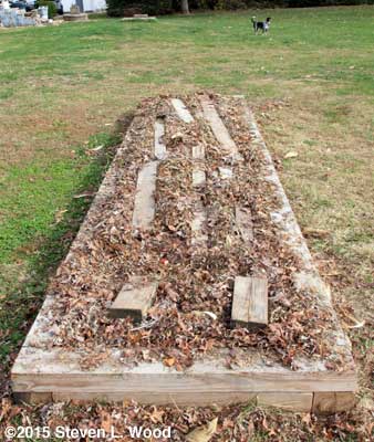 Mulched garlic bed