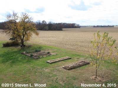 Our Senior Garden - November 4, 2015