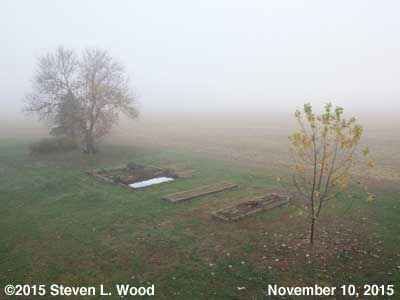 Our Senior Garden - November 10, 2015