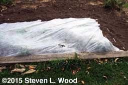 Hole in floating row cover