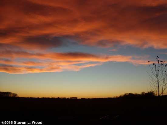 Pretty sky