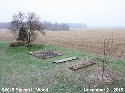 Our Senior Garden - November 21, 2015