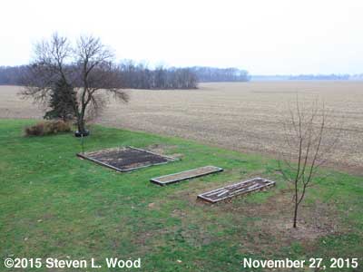 Our Senior Garden - November 27, 2015