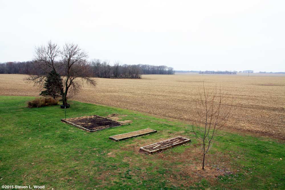 Our Senior Garden - November 29, 2015