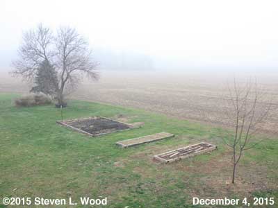 Our Senior Garden - December 4, 2015