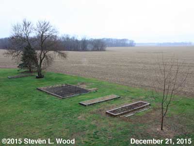Our Senior Garden - December 21, 2015